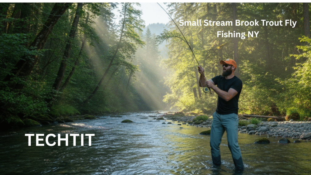 Small Stream Brook Trout Fly Fishing NY