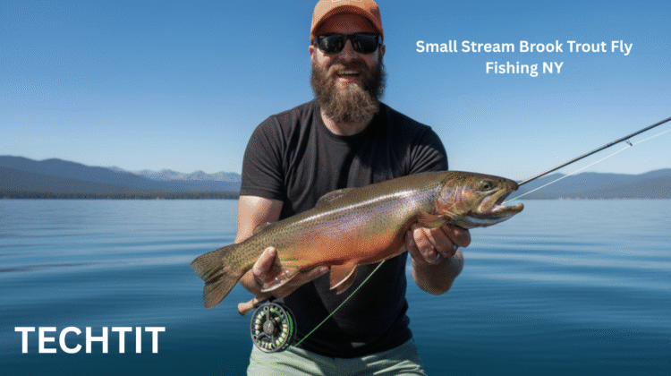 Small Stream Brook Trout Fly Fishing NY