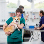 Pet CPR Certification